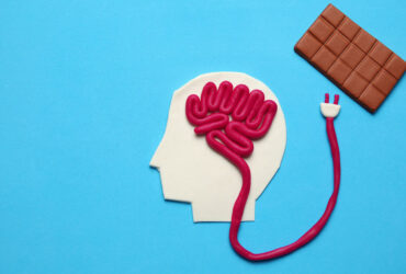 Unlocking the Mystery of Appetite: How Brain Circuits Influence Eating Behavior